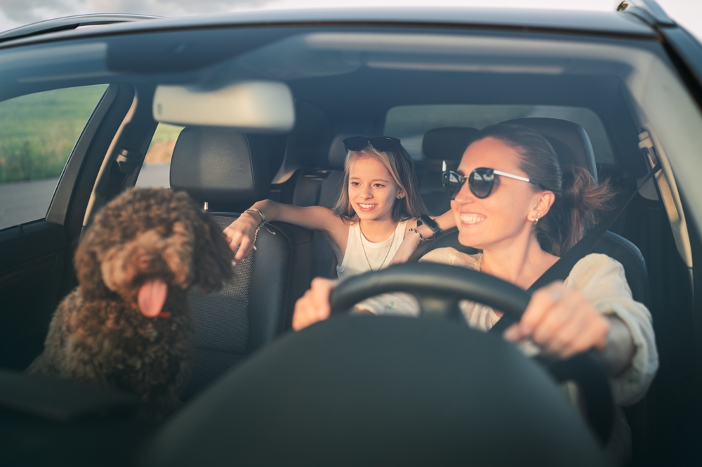 Mother driving with child and unrestrained dog in the front seat – an example of distracted driving caused by pets and passengers